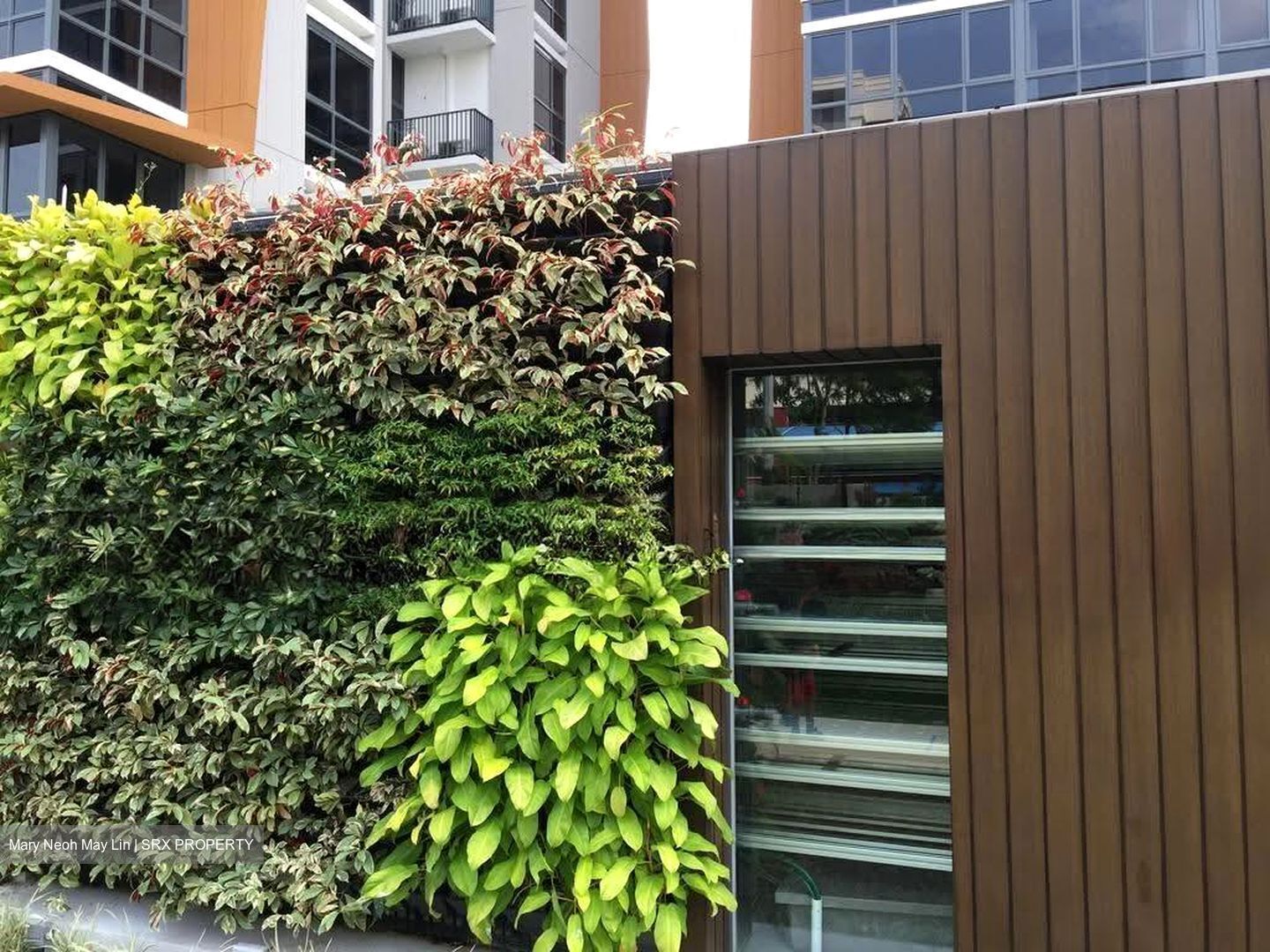 Coco Palms (D18), Condominium #627475451